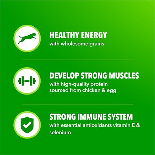 IAMS Proactive Health 성인용 Minichunks 건식 개 사료, 닭고기, 17.5kg(37파운드) - size: 38.5 Pound (Pack of 1)