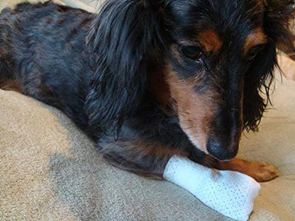 Medimitt Paw Bandages for Dogs, Cats and Pets – Stretchy Medical Booties, First Aid for Paws – Non Slip, Non Adhesive, Breathable, Disposable, Washable, Adjustable Strap, Value Pack (Medium 20-Pack) - size: Medium 20-pack