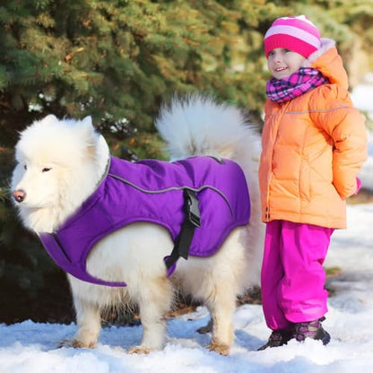 EMUST Dog Winter Coat, Waterproof Fleece Dog Jacket Winter for Medium Dogs - color: Purple, size: Medium
