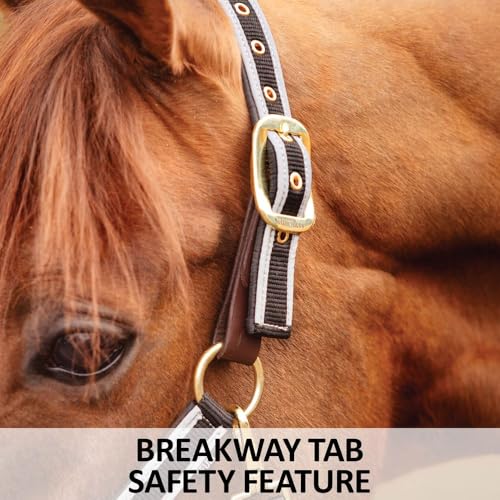 Schneiders Padded Reflective Breakaway Halter for Horses | Adjustable Fit | Safety Leather Tab | Night-Time Visibility - size: Oversize