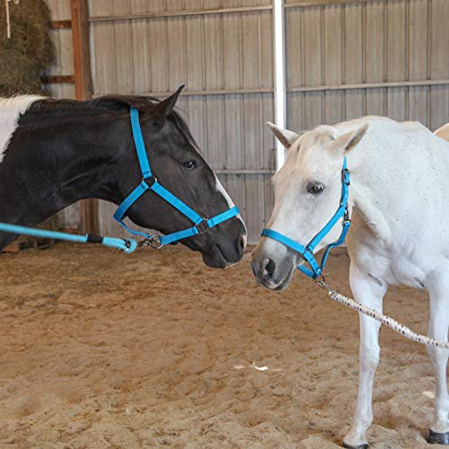 Majestic Ally Pack of 2 Adjustable Halter for Horses–Adjustable Chin and Crown– Sewn-in Throat Snap Hook- Heavy Duty Rose Gold or Black Nickel Finish Hardware–Full - color: Red