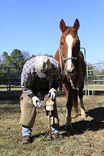 Horse Hoof Trimmers Kit, Complete 110V Electric Set with Supplies