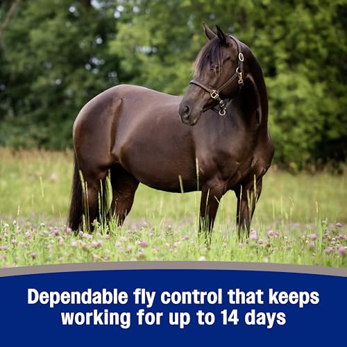 Farnam Tri-Tec 14 Fly Spray for Horses, Protects for Up to 14 Days, 128 oz - size: 128 Fl Oz (Pack of 1)