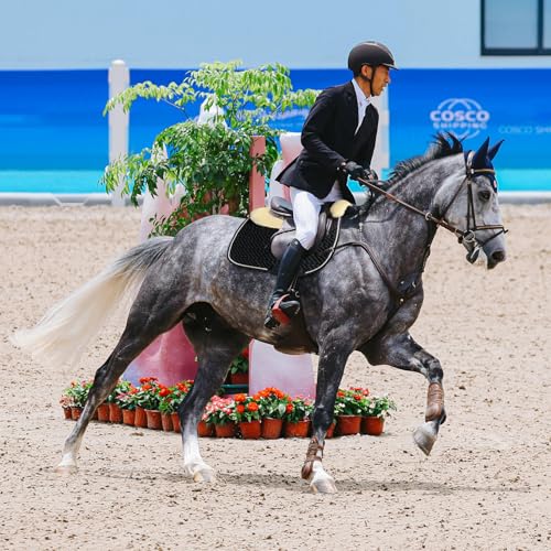 Woolous Dressage Saddle Pad, English Saddle Pad with Sheepskin Trim, Lambskin Wool Fleece Lining, Square Saddle Pad for Equestrian Riding, Comfortable & Shock Absorbing - color: Black/Beige