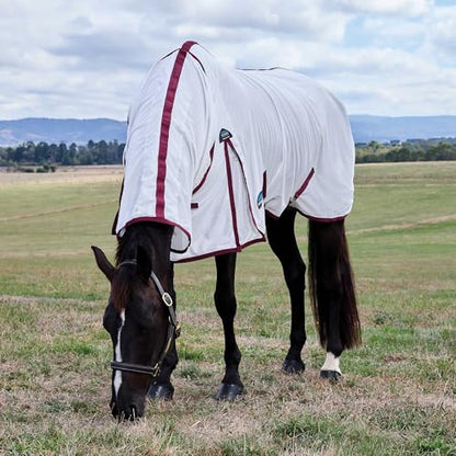 WeatherBeeta ComFiTec Essential Fly Sheet Combo, White/Burgundy, 48" - color: White/Burgundy, size: 48"