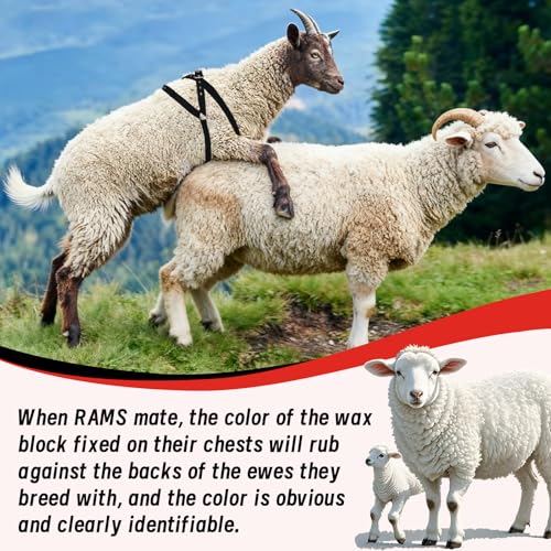 Ram Breeding Marking Harness for Sheep&Goat with Mating Crayon Block Marker