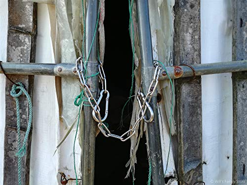 Will's Family Store 20 inch Stainless Steel Gate Chain with Carabiners Max 440 Pounds for Livestock and Poultry - size: 1 pack