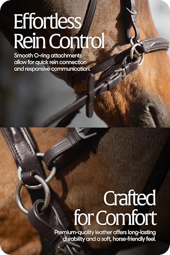 Equinavia Saga Leather Horse English Bridle, Stainless Steel Hardware Reins - color: Chocolate Brown, size: Cob