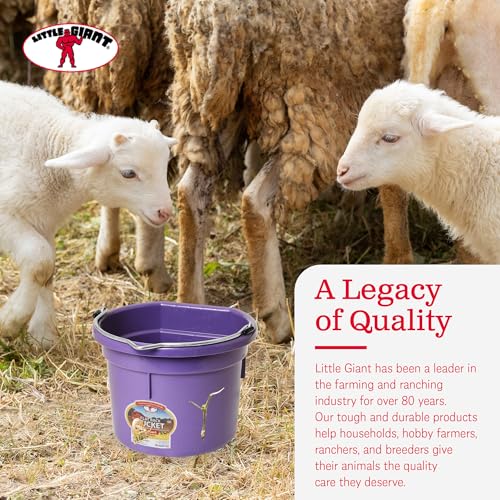 Little Giant P8FBPURPLE 2 Gallon All Purpose Heavy Duty Farm Flat Back Plastic Buckets for Supplies, Toys, Laundry, and Water, Purple, (4 Pack)
