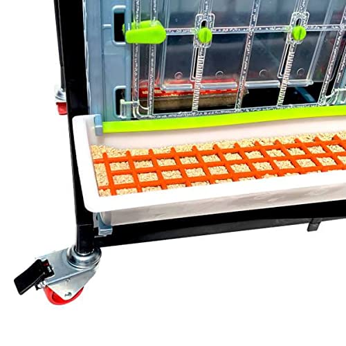 Hatching Time 15" Chick Brooders – Stackable & 2-Section Options, Automatic Heating, Easy-Clean Tray, Includes Feeders & Drinkers, Perfect for Quail, Chickens, Ducks & Baby Birds (3 Layer) - style: 3 Section, 3 Layer