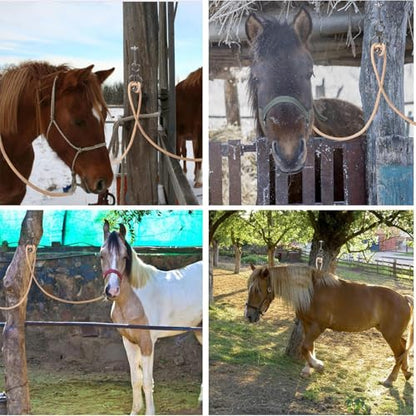 Horse Tie Ring Stainless Steel Training Equipment