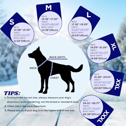 EMUST Dog Winter Coat, Waterproof Fleece Dog Jacket Winter for Small Dogs - color: Blue, size: Small