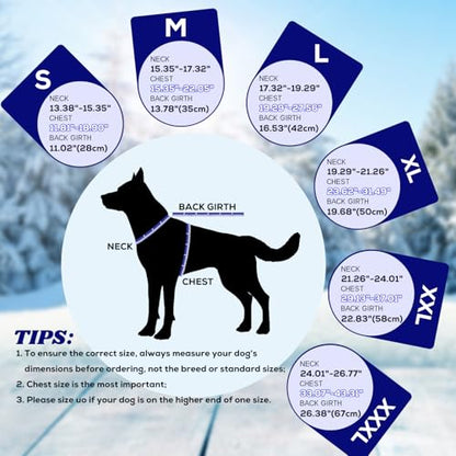 EMUST Dog Winter Coat, Waterproof Fleece Dog Jacket Winter for Small Dogs - color: Blue, size: Small
