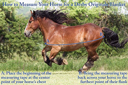 Derby Originals Windstorm 420D Medium Weight Mini Horse & Pony Stable Blanket – Closed Front, 200g Insulation, Breathable Triple-Layer Design, 70T Lining, for Indoor Use Only