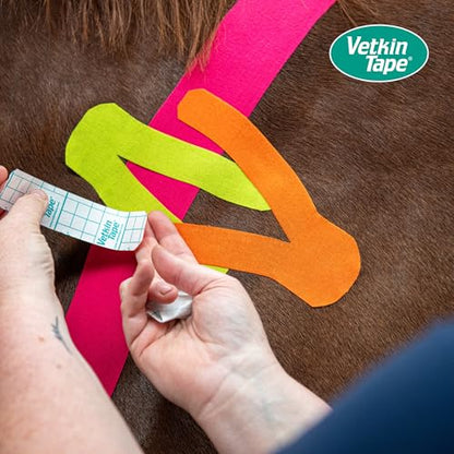 VETKIN Canine & Equine Kinesiology Tape Blue Veterinary Tape 2.4in - color: Blue