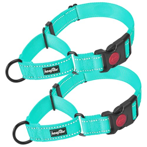 haapaw Martingale Dog Collar with Quick Release Buckle Reflective Dog Training Collars for Small Medium Large Dogs (Turquoise, Small) - color: Turquoise, size: Small