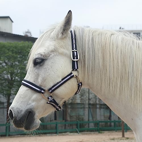 Adjustable Horse Halters - Heavy Duty Nylon Webbing & Hardware, Padded with Anti Chafing Foam-Cushioned on Crown & Nose - color: Black, size: Full