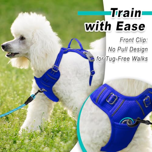 BARKBAY Dog Harness for Small Sized Dog No Pull Mesh 2 Clips Dog Vest - color: Sapphire Blue-Mesh, size: X-Small