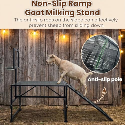 Heavy-Duty Non-Slip Ramp Goat Milking Stand, Height Adjustable Range 18.8–28.8"，600LBS Metal Livestock Trimming Stand with Feed Bin，Goat Stand Ramp Use for Goats ，Lambs & Sheep Trimming Grooming Stand