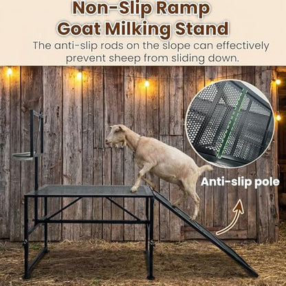 Heavy-Duty Non-Slip Ramp Goat Milking Stand, Height Adjustable Range 18.8–28.8"，600LBS Metal Livestock Trimming Stand with Feed Bin，Goat Stand Ramp Use for Goats ，Lambs & Sheep Trimming Grooming Stand