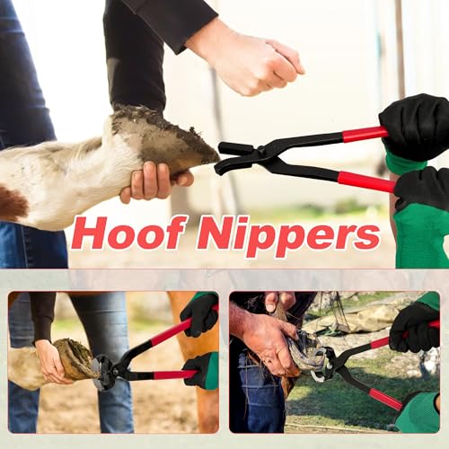 8Pcs Farrier Hoof Tool Kit, Horse Hoof Trimming Tools, For Horses Cattle