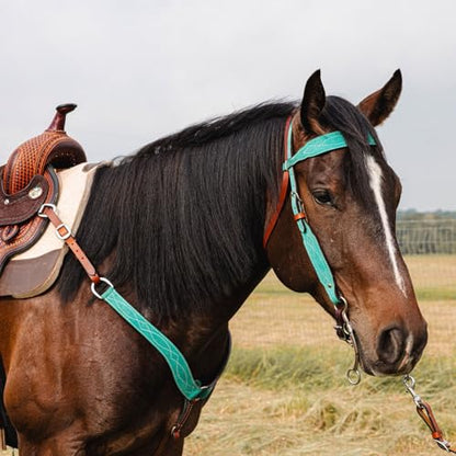 CIRCLE Y Marfa Lights Suede Browband Headstall | Double Ply Western Headstall with Suede Overlay, White Stitching & Stainless Steel Hardware | 35"- 43" Adjustable Fit - color: Teal