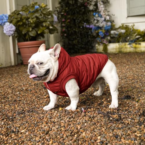 Vecomfy Dog Hoodie in Winter for Medium Dogs Jacket Pet Coats with Hooded, Red L - color: Red, size: Large