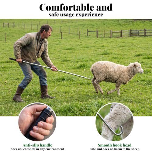 304 Stainless Steel Goat Sheep Catcher Hook, Adjustable Livestock Leg Grabber Tool 44"–70", Heavy Duty Shepherd Crook for Farm Shearing, Milking & Health Checks
