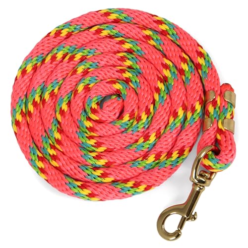 Jeffers Neon Poly Horse Lead Rope with Brass Bolt Snap, 8' - Spiral Pink - color: Pink with Spiral Pattern, size: 5/8inch x 8inch