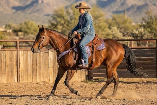 CHALLENGER Horse Saddle Western Riding Aluminum Stirrups Roper Angled Slanted Pair 51151v - color: Barrel Racer Purple