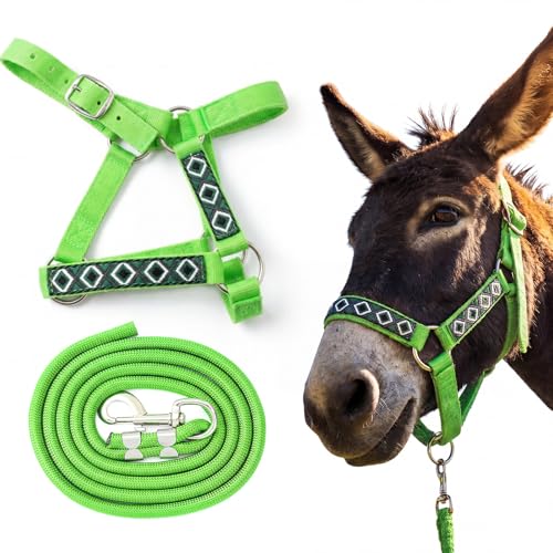 1 Set Mini Donkey Halter with Lead Rope Adjust, Bright Green - color: Bright Green