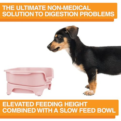 Neater Feeder Express Mess Proof Dog Bowls Elevated for Small Breed – Made in USA – No Spill Raised Slow Feeder Elevated Dog Bowl Stand, Stainless Steel Food and Water Bowl Set, Pink - color: Pink, size: Small w/ Metal Slow Feed Bowl