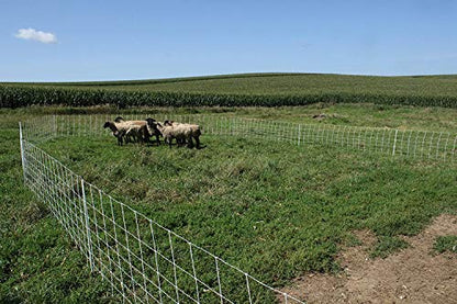 35" x 164' Premium Electric Sheep & Goat Netting w/Double Spike Fiberglass Posts (9/35/8) Pre-Assembled Electric Fence for Backyards, Homesteaders, Farms and Ranches