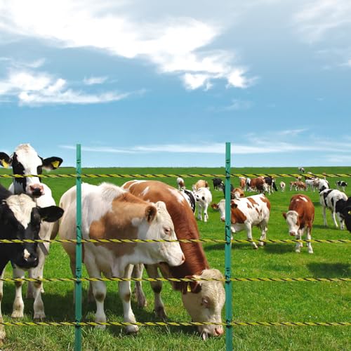 VEVOR Electric Fence Wire, 1640Ft 500M Portable Polywire, 1/8" Diameter 6 Stainless Steel Strands, Fencing Rope Line with 25 Fence Insulators and 25 T-Post Insulators, for Horse, Cattle, Livestock - size: 1640Ft 500M, style: 1/8" Strands