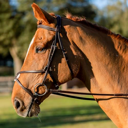 Equinavia Saga Adjustable Padded Fancy Stitched Figure 8 Bridle with Reins - size: Horse