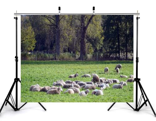 10x7ft Fabric Grass Sheep Pasture Backdrop Flock Wool Sheep Lush Green Meadow Tall Broadleaf Tree Photography Background Tapestry Country Farm Sheep Decorations Photo Booth Props - size: 10x7ft