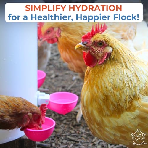 Lil'Clucker - Large Automatic Chicken Waterer Cups Suitable for Ducks, Geese, Turkeys, and Bunny Rabbit - Water Feeder Kit - Poultry Waterer (Pink, 8 Pack) - color: Pink, size: 8 Pack