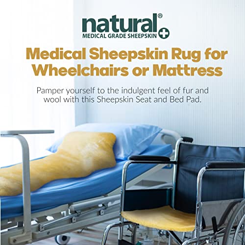 Natural Medical Sheepskin Pad, Non-Slip Back, Natural, 24 x 72 in, 1 Pack - color: Natural, size: 24x72 Inch (Pack of 1)