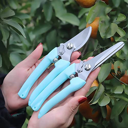 Premium Garden Shears, Pruning Scissors Gardening Tools, Pruners For Flower, Bushes, Rose And Fruit Tree, Use For Florist, Yard And Orchard the Plant Clippers, Sharp White Steel Anvil Snips - style: Blue