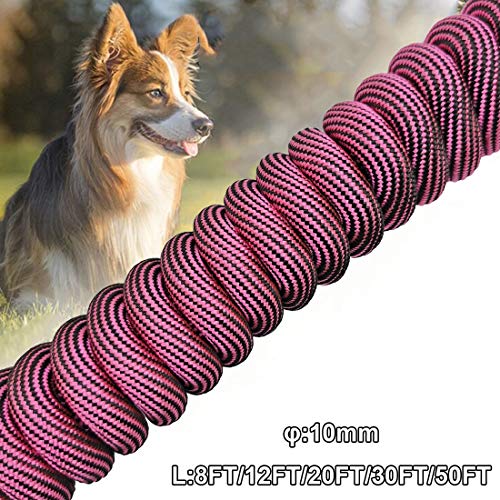 50FT Dog Tie-Out Rope + Bungee Dog Leash Extension