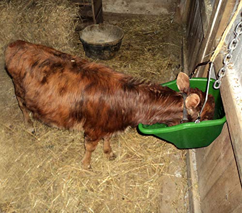 Little Giant® Plastic Better Bucket | Horse Feed Bucket | Ergonomically Designed | Flat Back Bucket | Made in USA | 20 Quarts | Green - color: Green, size: 20 Quarts