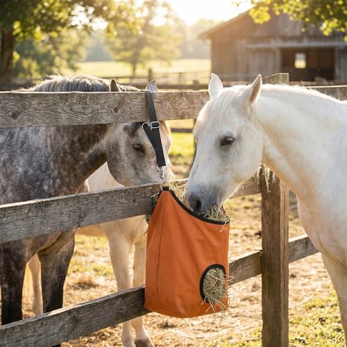 4Pcs Horse Bucket Strap Hangers Nylon Straps Hanging Feed Tack - color: Black