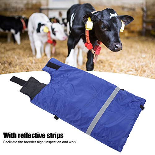 39 x 35 Inch Waterproof Calf Blanket, for Cold Winter to Keep Calves Warming, with Reflective Strip and Quick Release Buckles, Windproof Oxford Cloth for Calf Goat Horse Coat Jacket