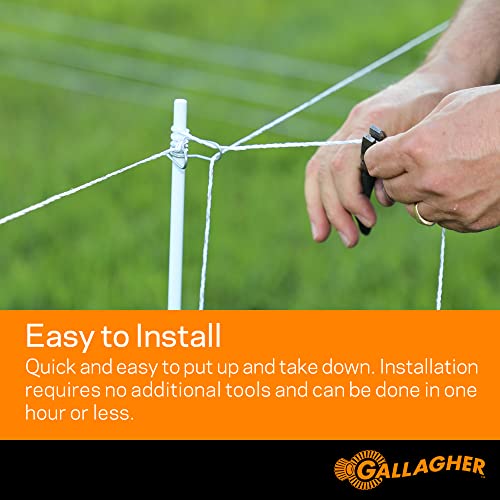 Gallagher Garden & Backyard Pet Protection Kit | Solar Electric Fence Kit for Deer, Rabbits, and Pets | 48in Posts with Polywire | Powers 200ft | Lithium Solar Energizer | Reliable Garden Protection