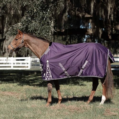 Equinavia Norse 200g Medium Weight Horse Blanket, Durable Waterproof Design | Equinavia Norse 200g Medium Weight Horse Blanket, Durable Waterproof Design, Horse Blankets for Real Horses Winter Protection - color: Grape Purple, size: 69 in