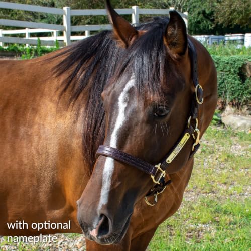 Country Pride Quiet Creek Triple Stitched Premium Leather Halter with Customizable Brass Name Plate, Handcrafted Leather, Adjustable, Rolled Throat Latch, Solid Brass Hardware - color: Brown, size: Cob