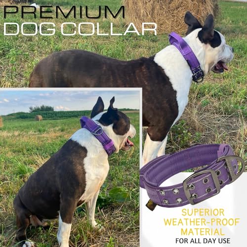 ADITYNA Heavy Duty Purple Dog Collar for Medium Dogs with Traffic Handle - color: Purple, size: Medium: Fit 15-19" Neck