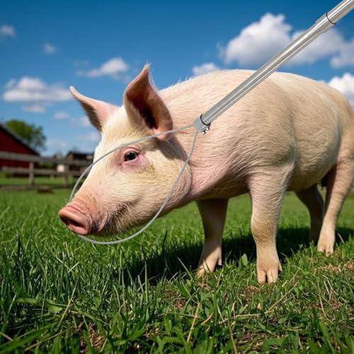 Dog Catcher Pole Animal Control Pole Cat Catcher Pole Heavy Duty Catch Pole Trap Kit for Dogs, Pig Fox, Hog and Other Wildlife, Length 30 inches