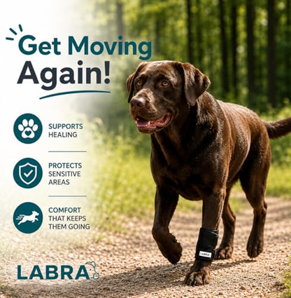 Labra Dog Front Leg Brace - Compression Wrap with Adjustable Straps - Dog Wrist Brace for Support - Leg Sleeve to Stop Licking - Aid in Wound Care and Recovery - Small/Medium - size: Small/Medium