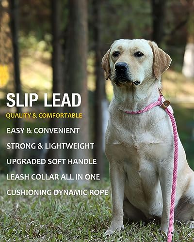 lynxking Dog Leash 1/2in x 5ft Slip Lead Pink and 1/2in x 6ft Slip Lead Reflective Black, 2 Pack